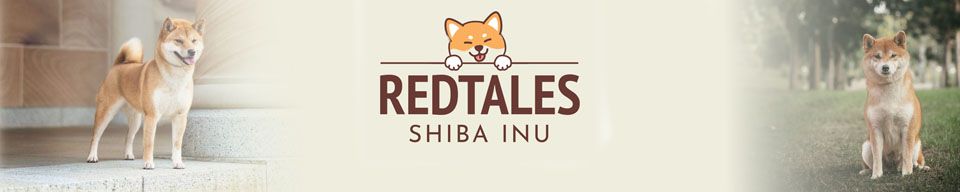 Redtales Shiba Inu